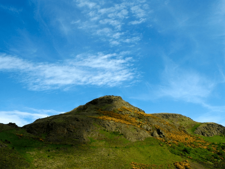 a close up of a lush green hillside